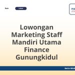 Lowongan Marketing Staff Mandiri Utama Finance Gunungkidul Terbaru [Cepat]